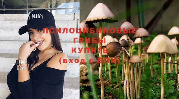 соль курить ск Лагань